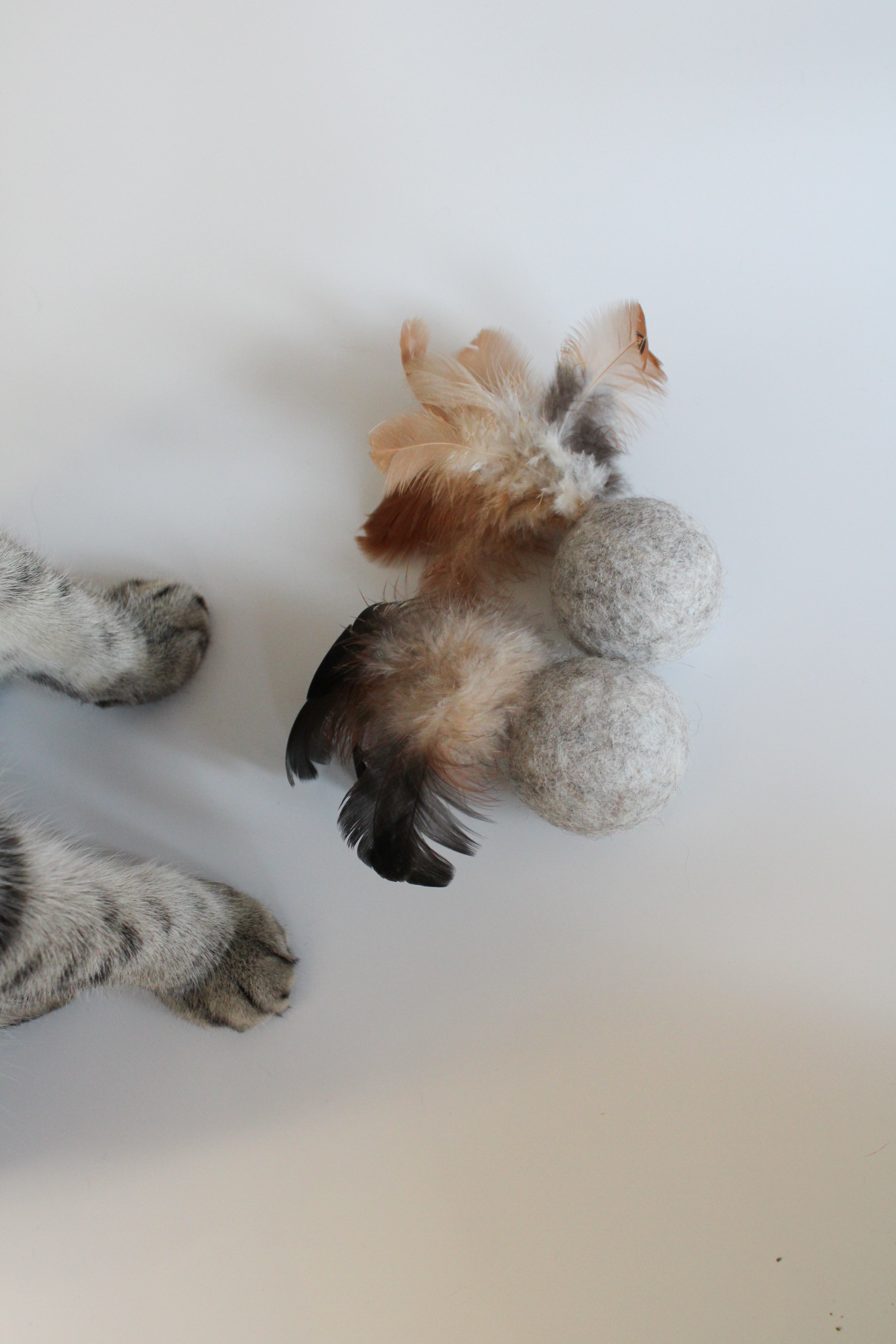 BALLI - Katzenspielzeug