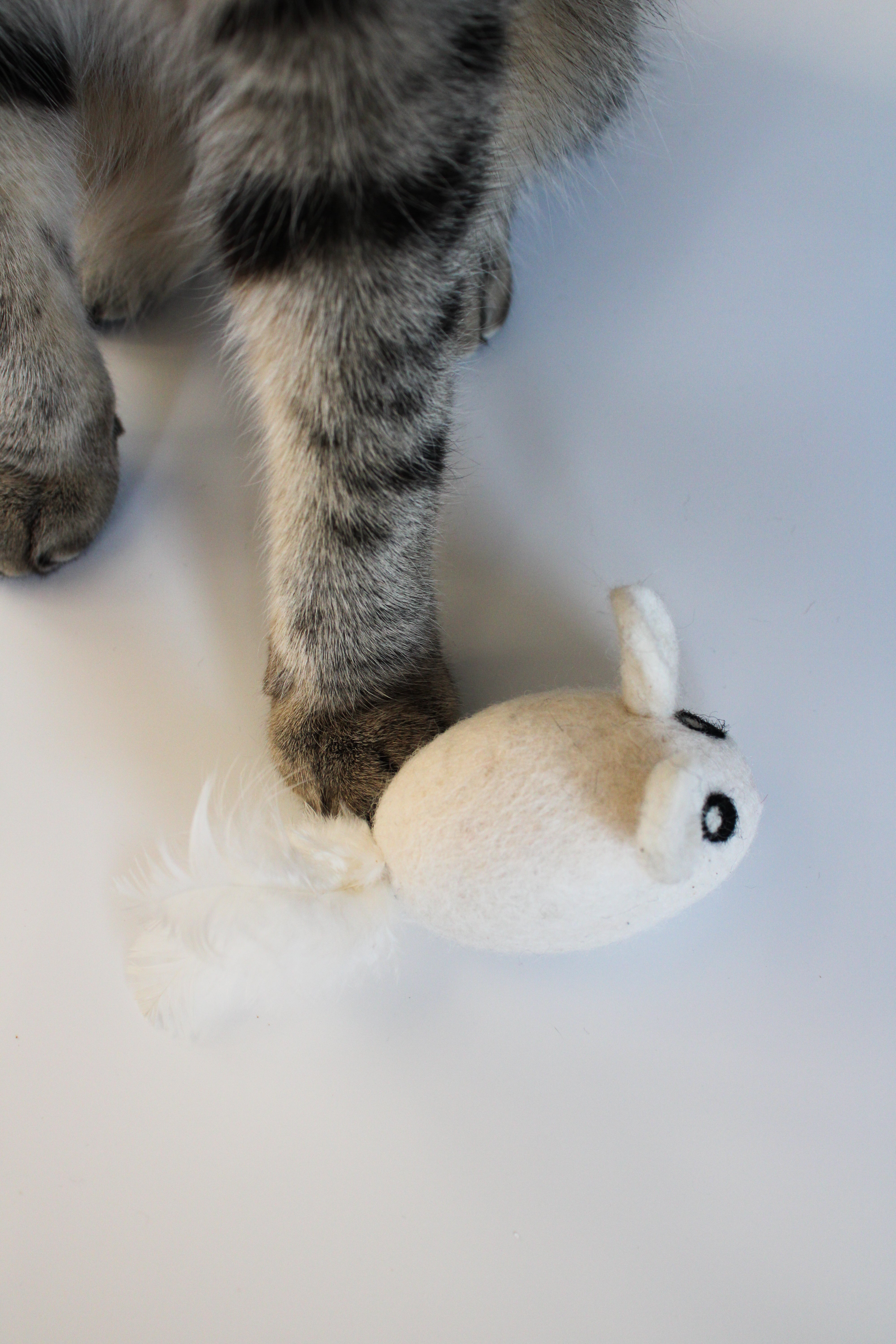 MAUSI - Katzenspielzeug