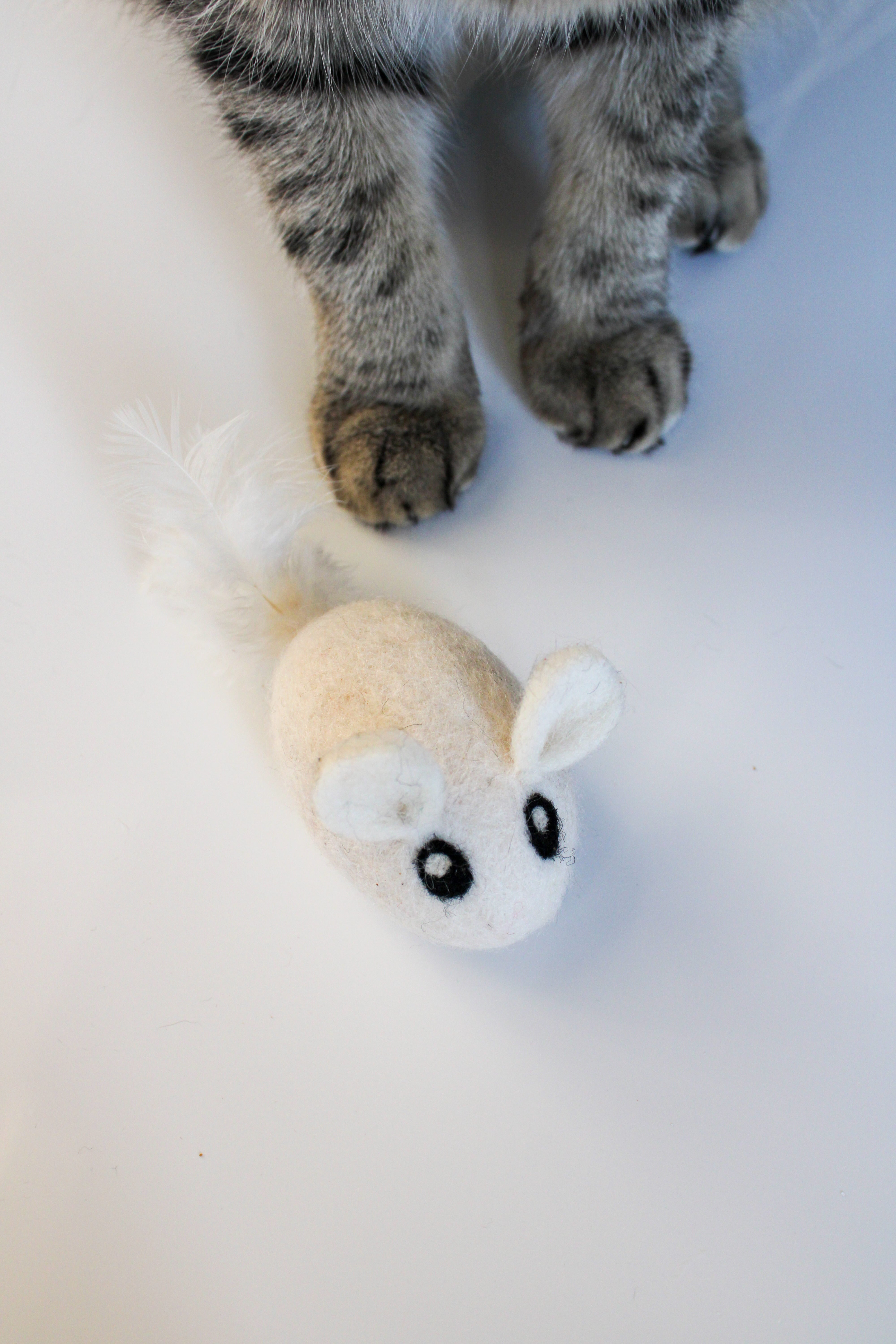 MAUSI - Katzenspielzeug