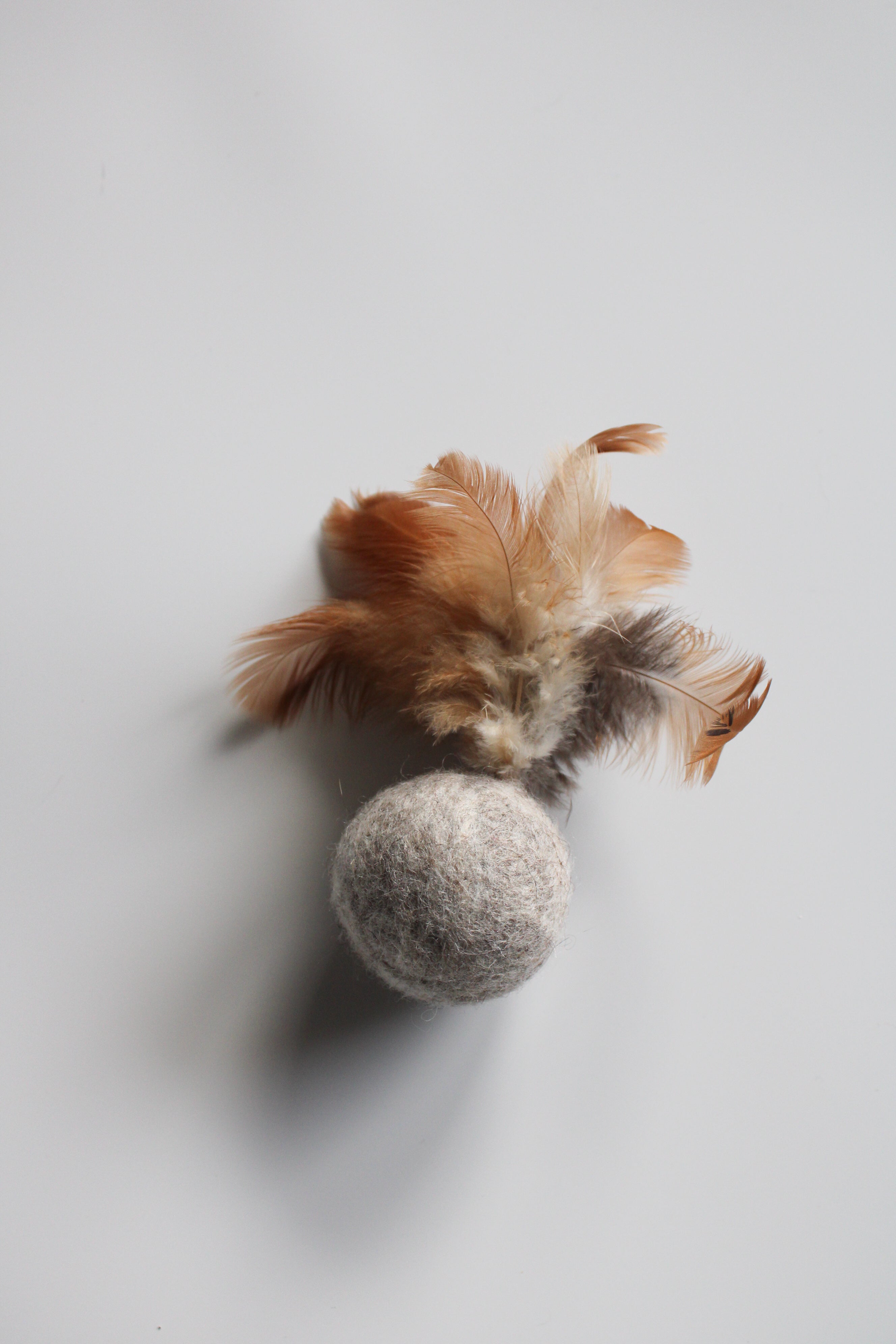 BALLI - Katzenspielzeug