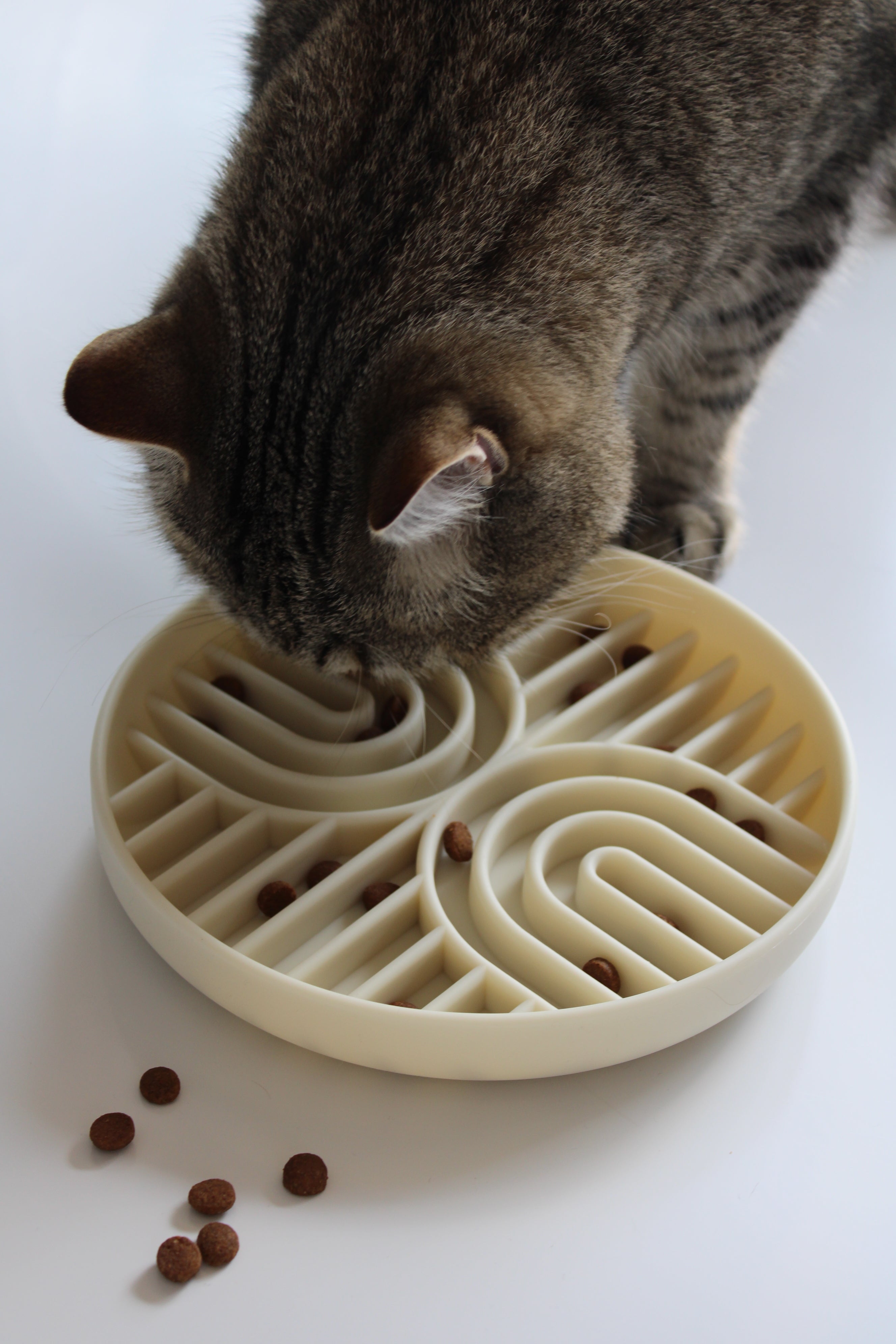 Anti-Schling-Schlecknapf