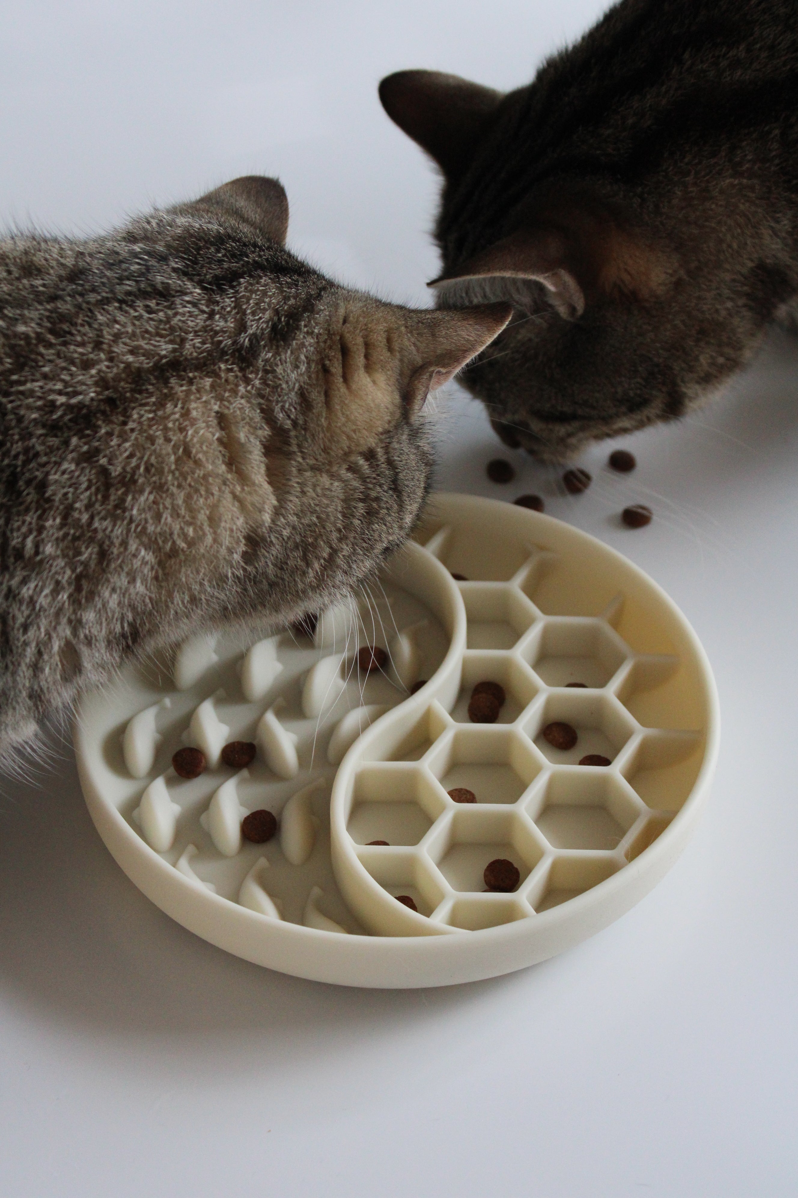 Anti-Schling-Schlecknapf