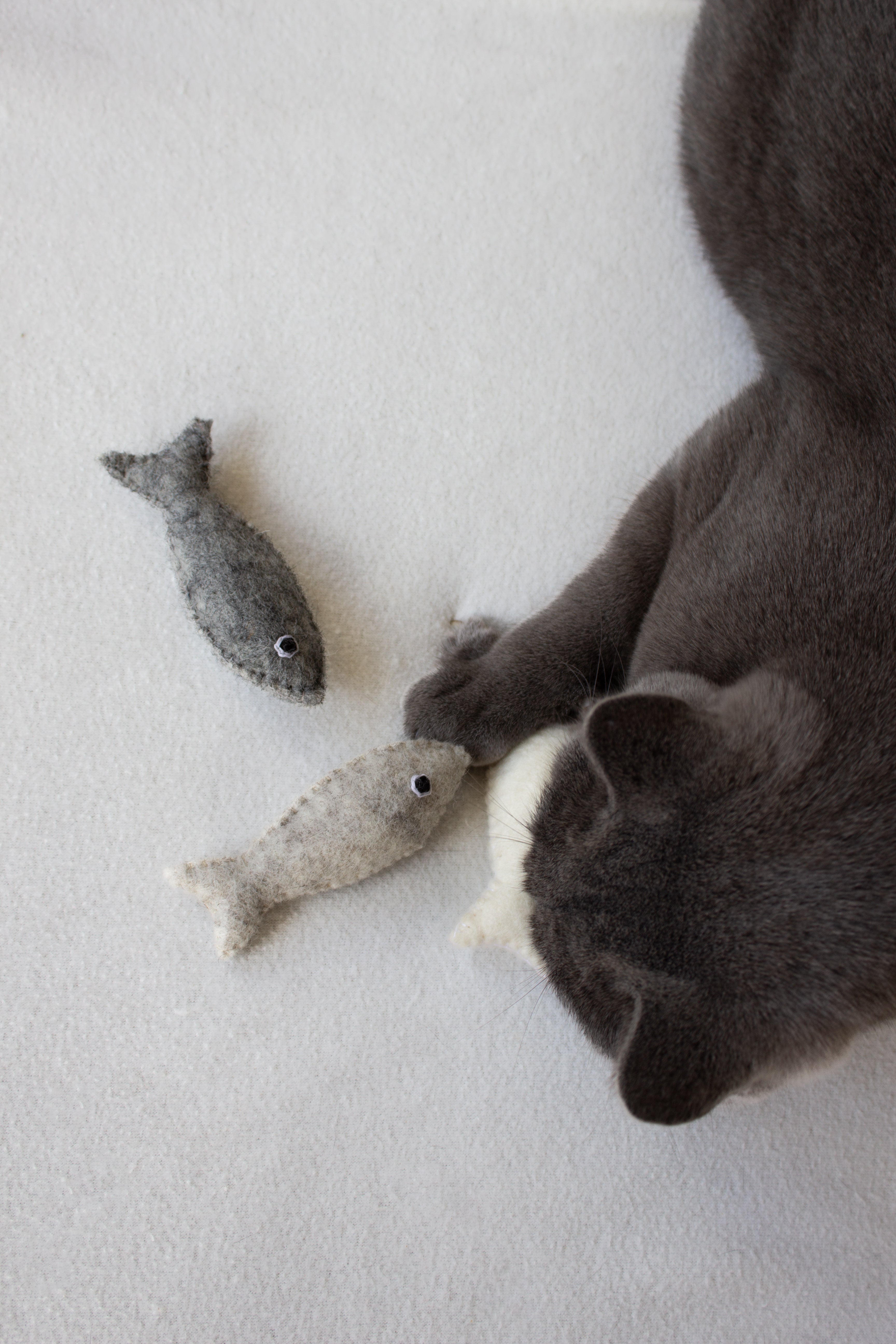 TUNA - Katzenspielzeug (3er Set)