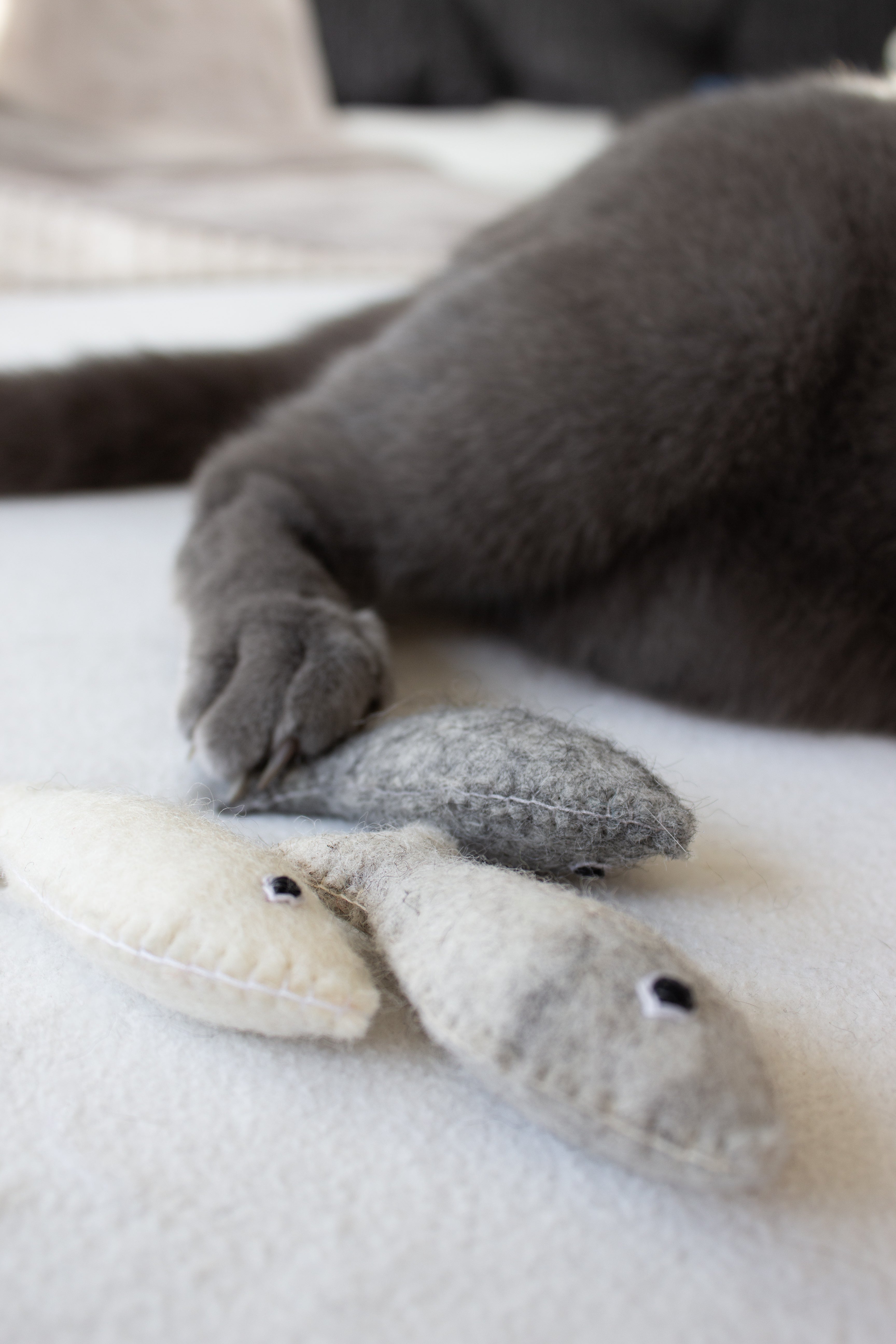 TUNA - Katzenspielzeug (3er Set)